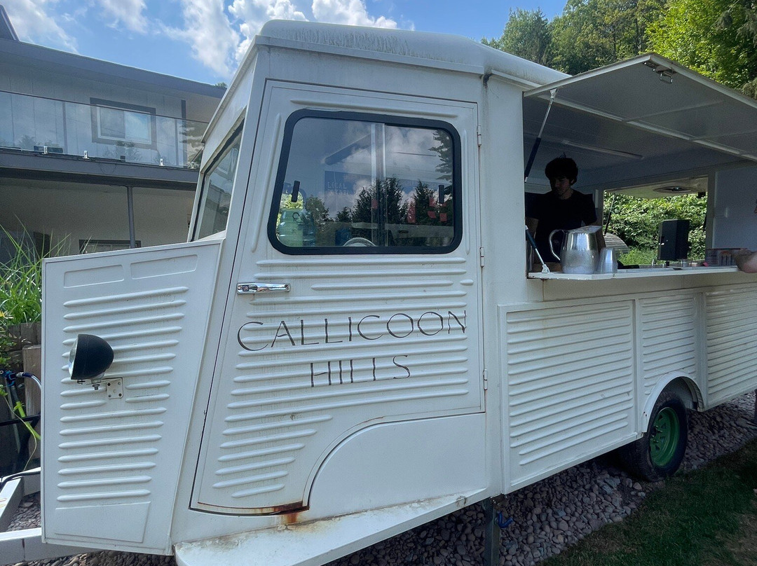 Callicoon Hills主图