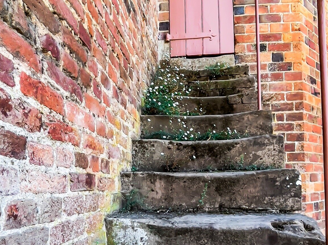 Dudmaston Estate-Bridgnorth必去景点