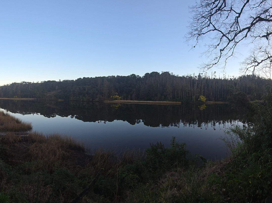 Sistema de Fuertes de Valdivia-瓦尔迪维亚必去景点