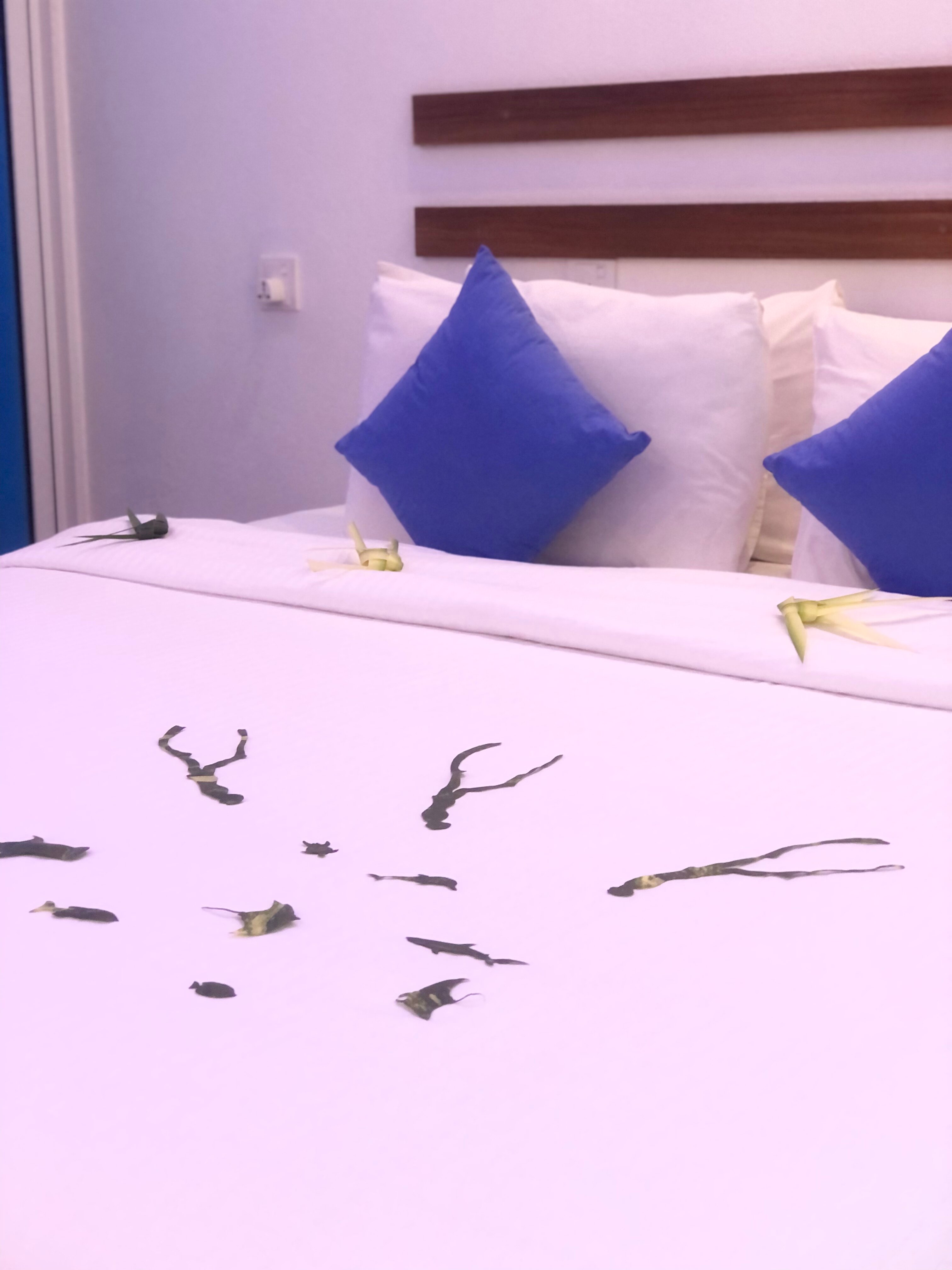 Hudhuveli Maldives-客卧