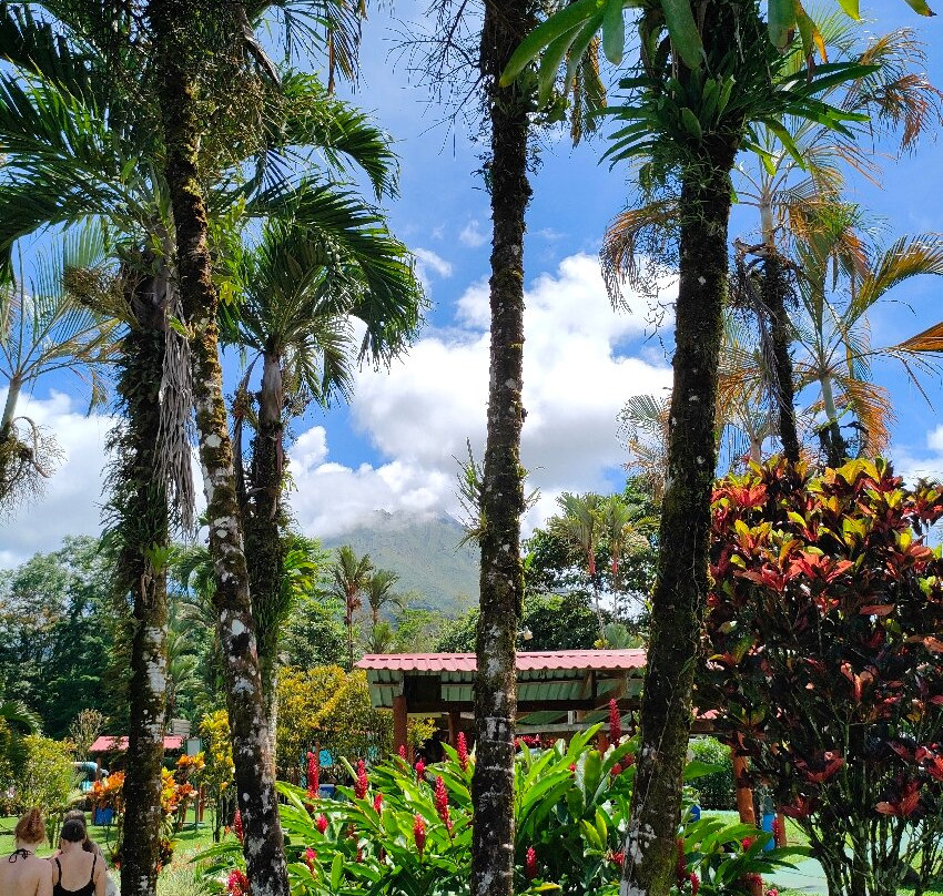 Termales Los Laureles-福德圣卡洛斯必去景点