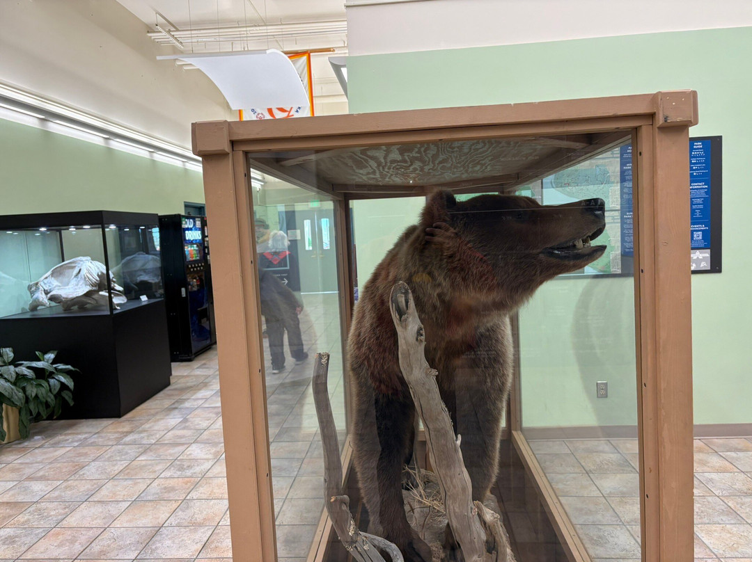 Kincaid Park-安克雷奇必去景点