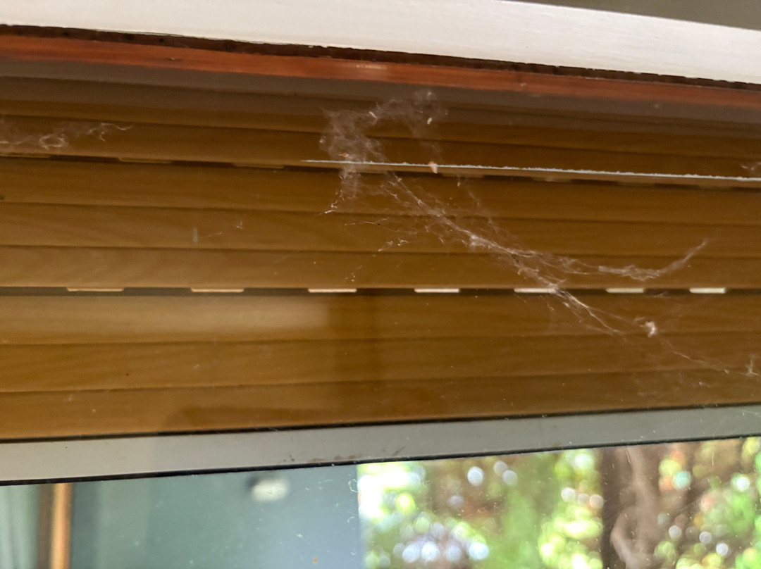 高尔夫木屋酒店主图