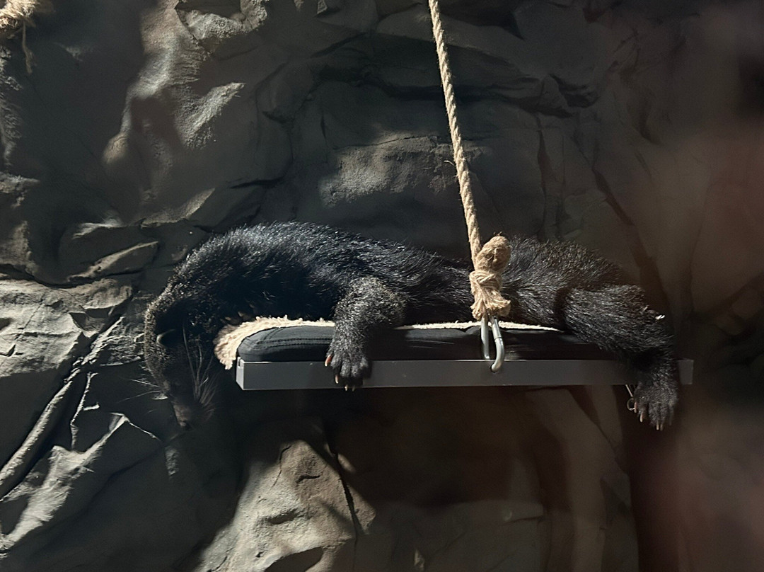 Legasea Aquarium & The Reptarium