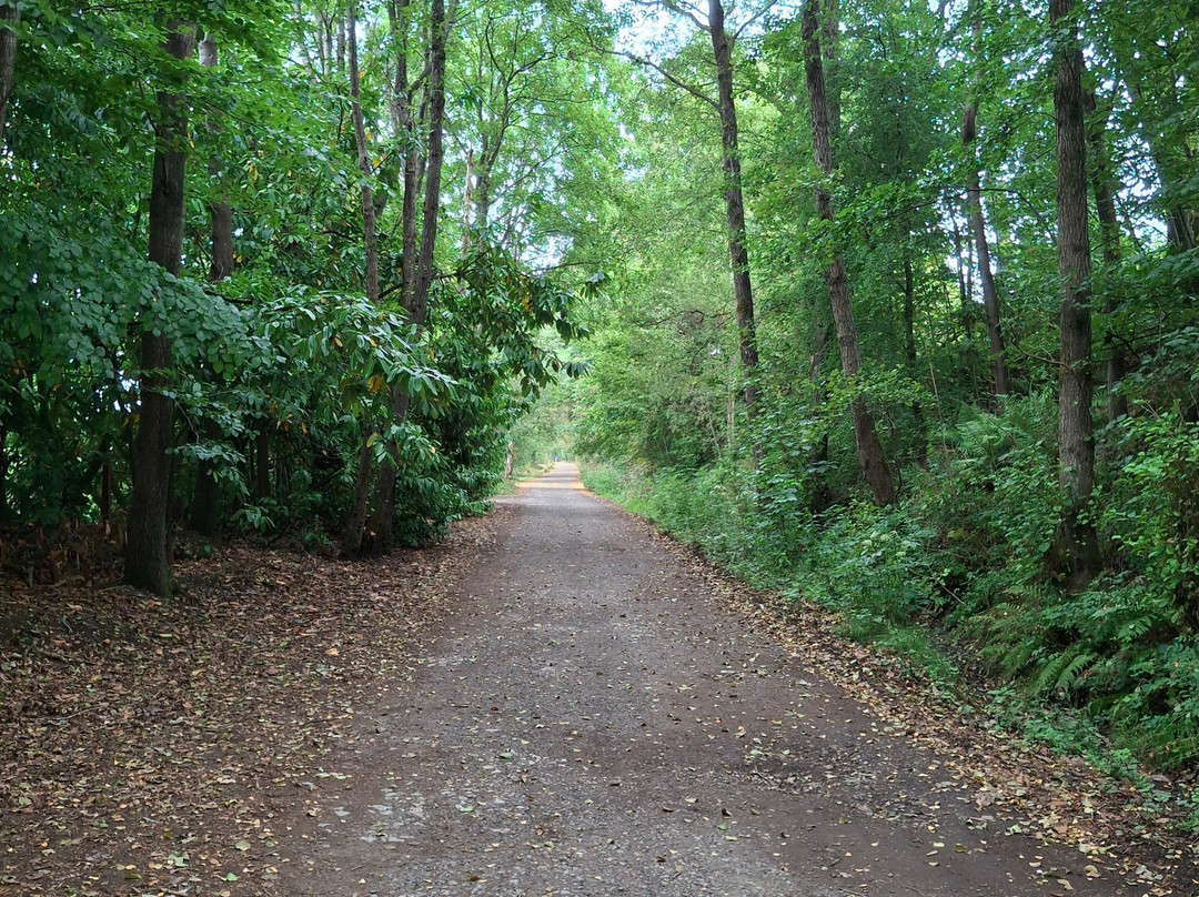 Rudyard Lake-Rudyard必去景点