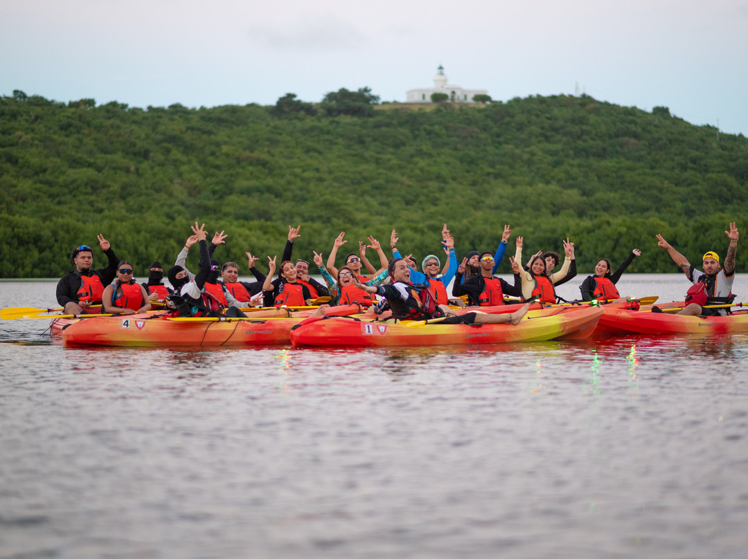 Puerto Rico Bio Bay Tours LLC-法哈多必去景点