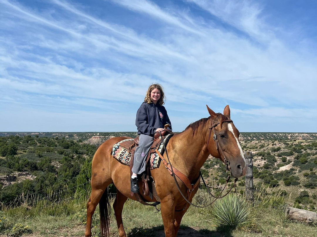 Cowgirls and Cowboys in the West-阿马里洛必去景点