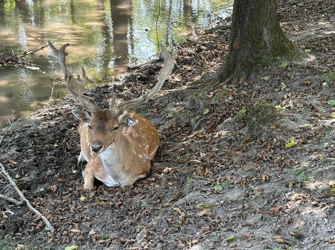Riserva Naturale Vincheto di Celarda-Celarda必去景点