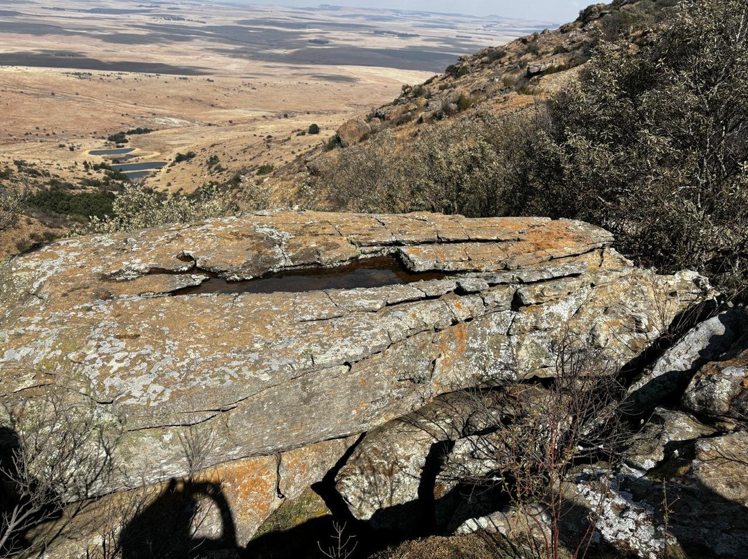 Langberg Hiking Trail-Vrede必去景点