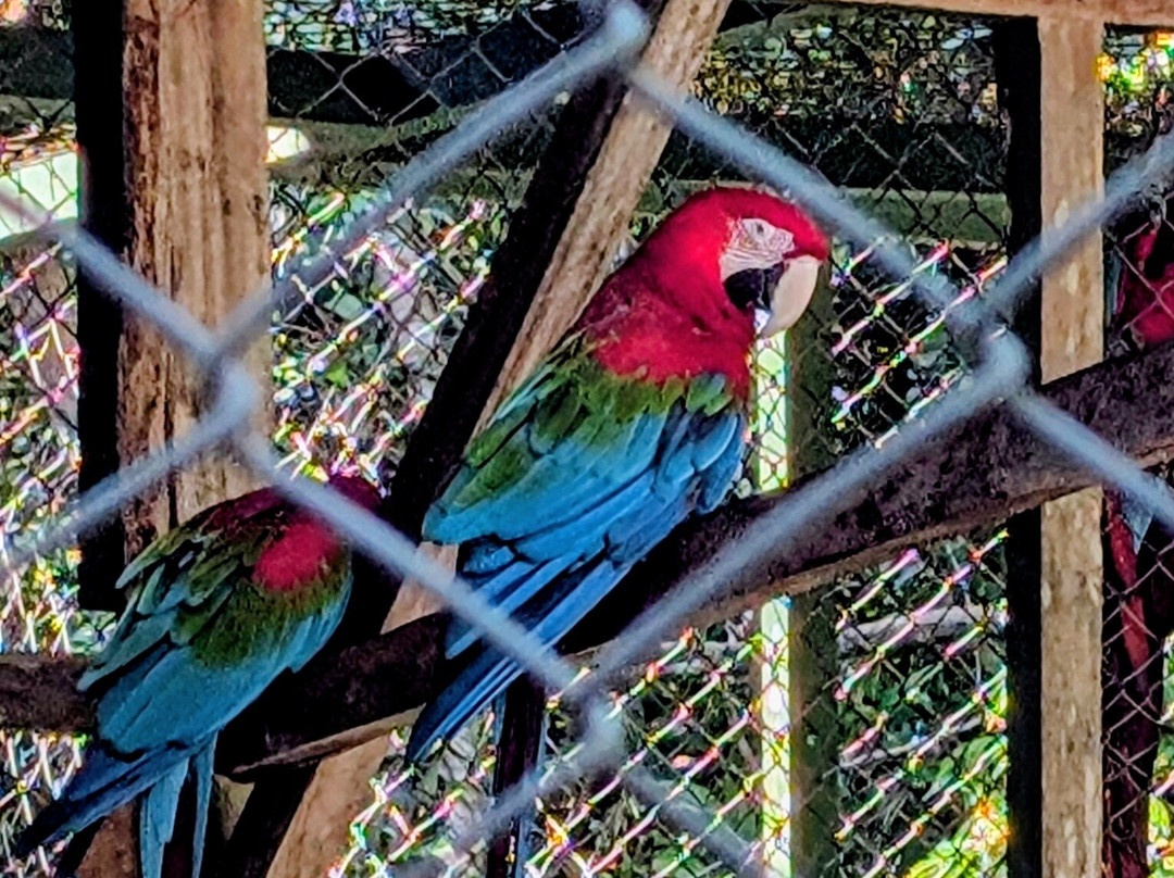 ZooFIT - Zoologico de Santarem-Santarem必去景点