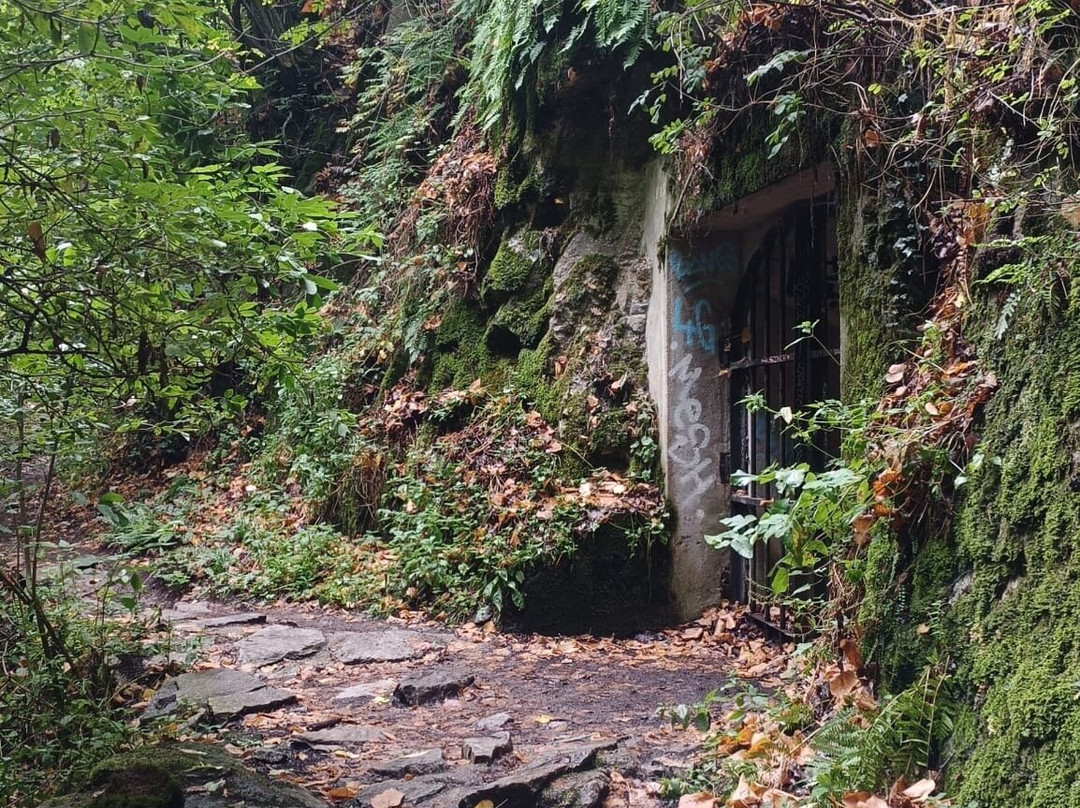 Gorges de Carança-Thues-entre-Vaills必去景点