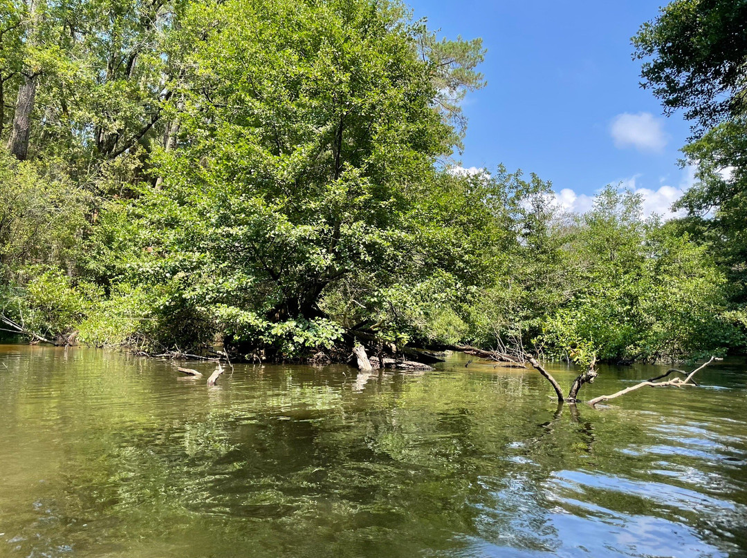 Les Bâteliers Du Courant D'huchet-Leon必去景点