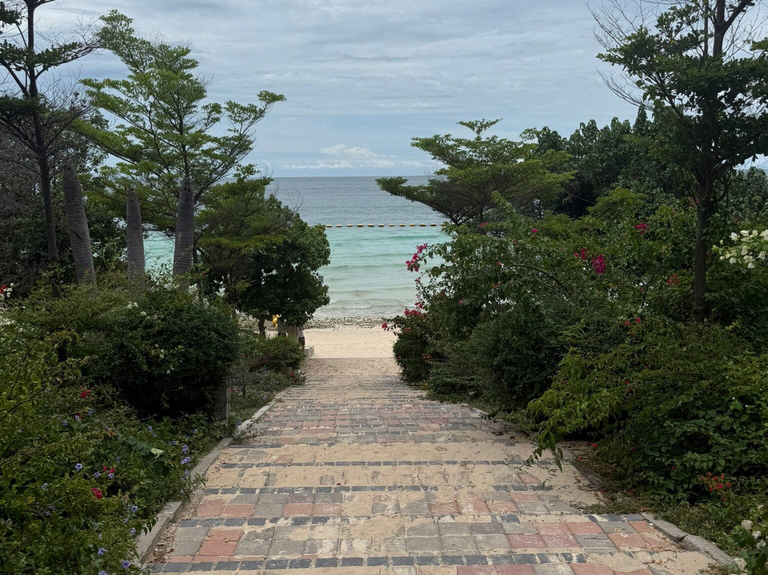 Ta Yai beach-珊瑚岛必去景点