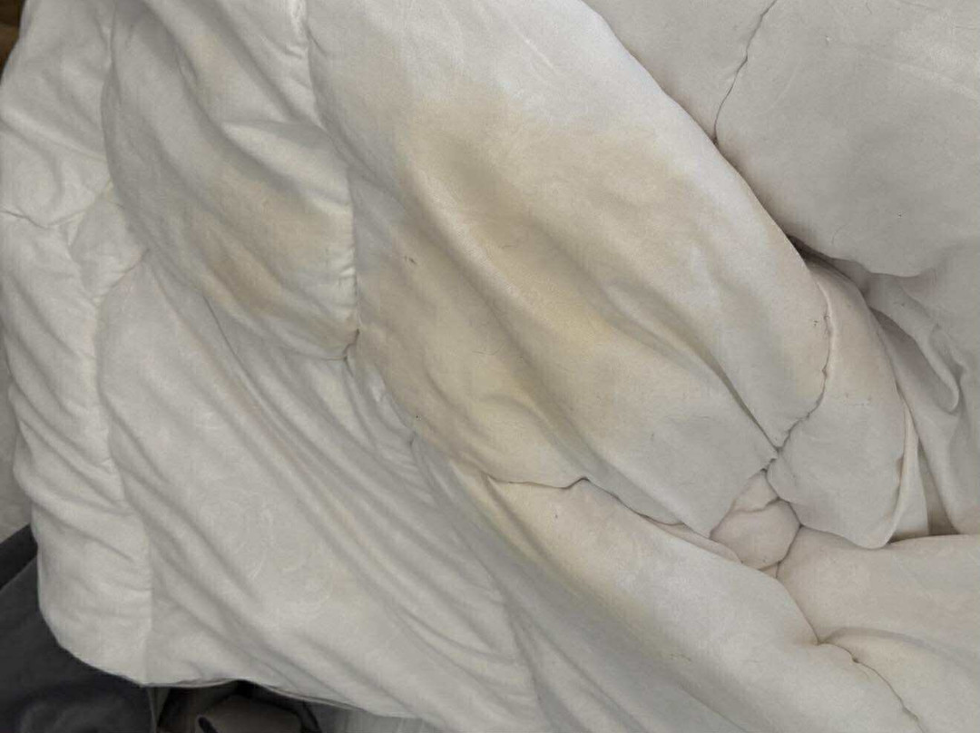 Hotel Mestia Inn主图