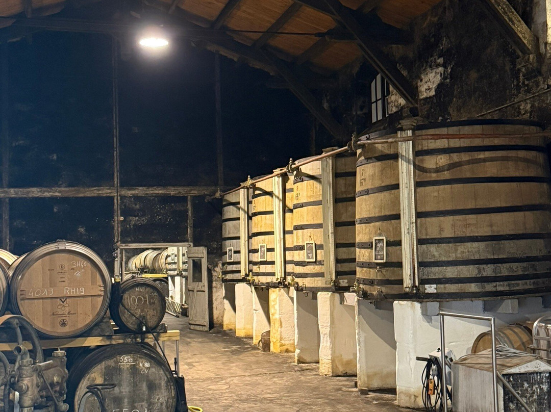 Cognac J. Normandin-Mercier-Dompierre sur Mer必去景点