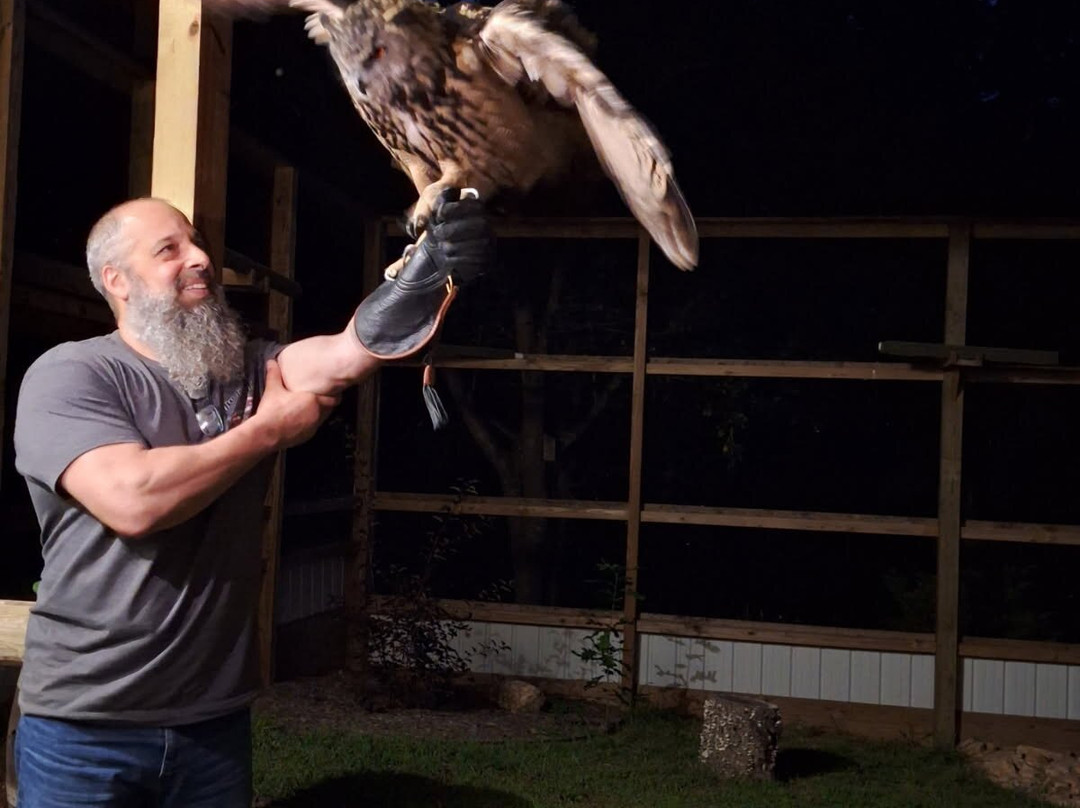 Raptor Hill Falconry-Stanley必去景点