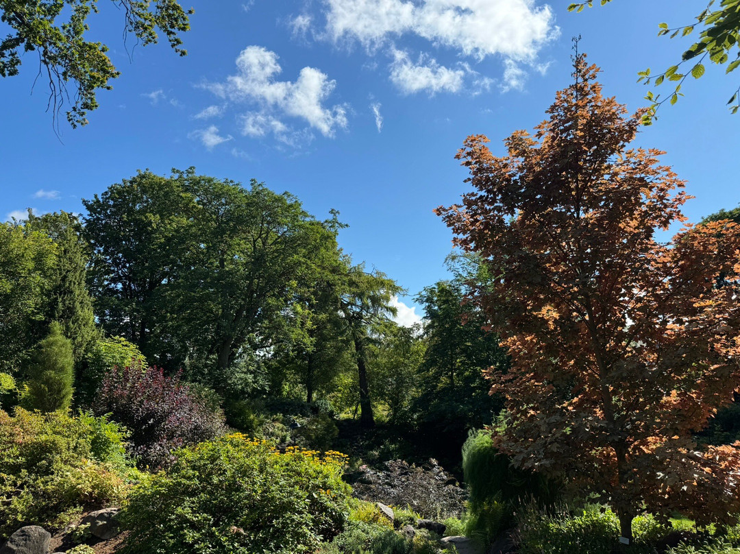 Tartu University Botanical Garden-塔尔图必去景点