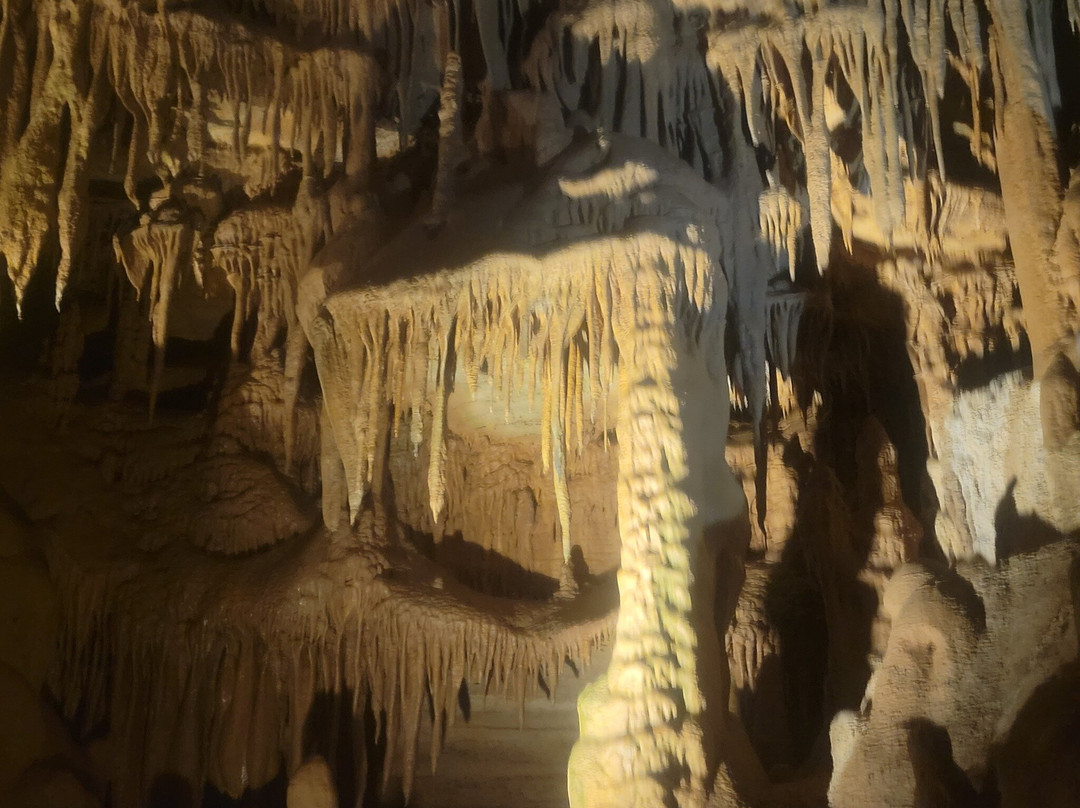 Cathedral Caverns State Park-Woodville必去景点