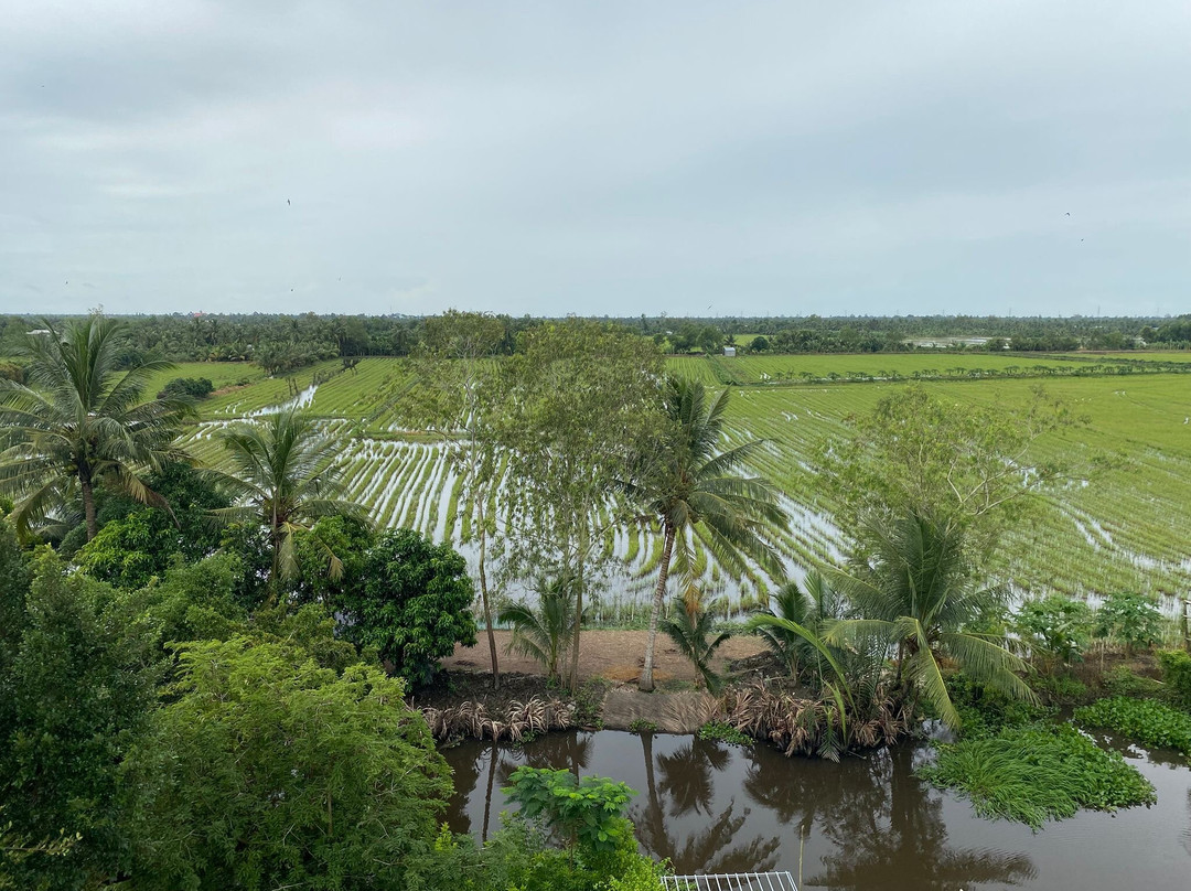 Mekong Experience Travel-芹苴必去景点