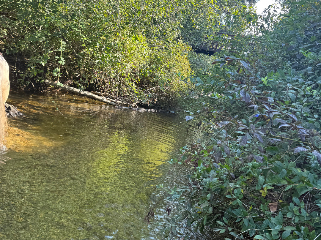 Leghorn Ranch-匹特草原必去景点