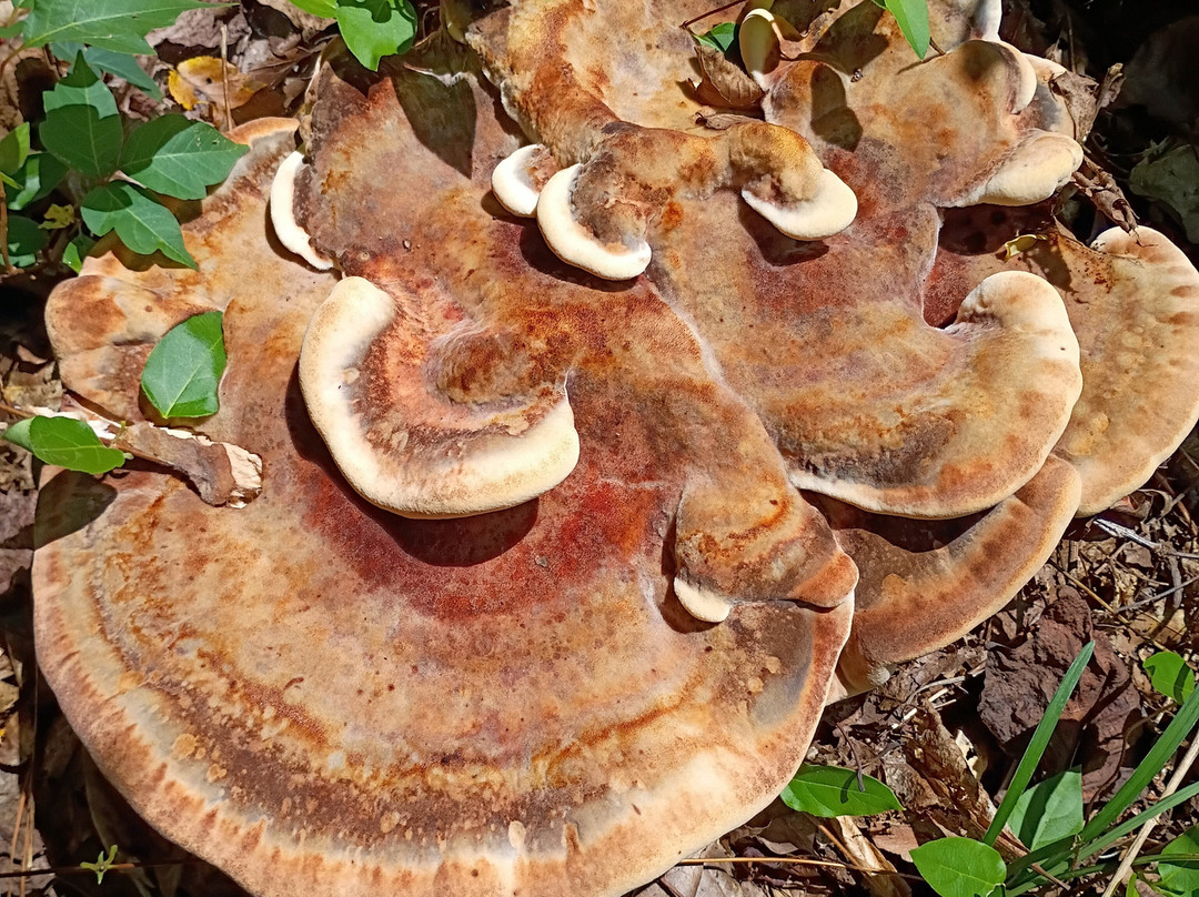 Fort Yargo State Park-Winder必去景点