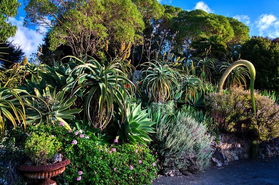 迪拉莫尔酒店主图