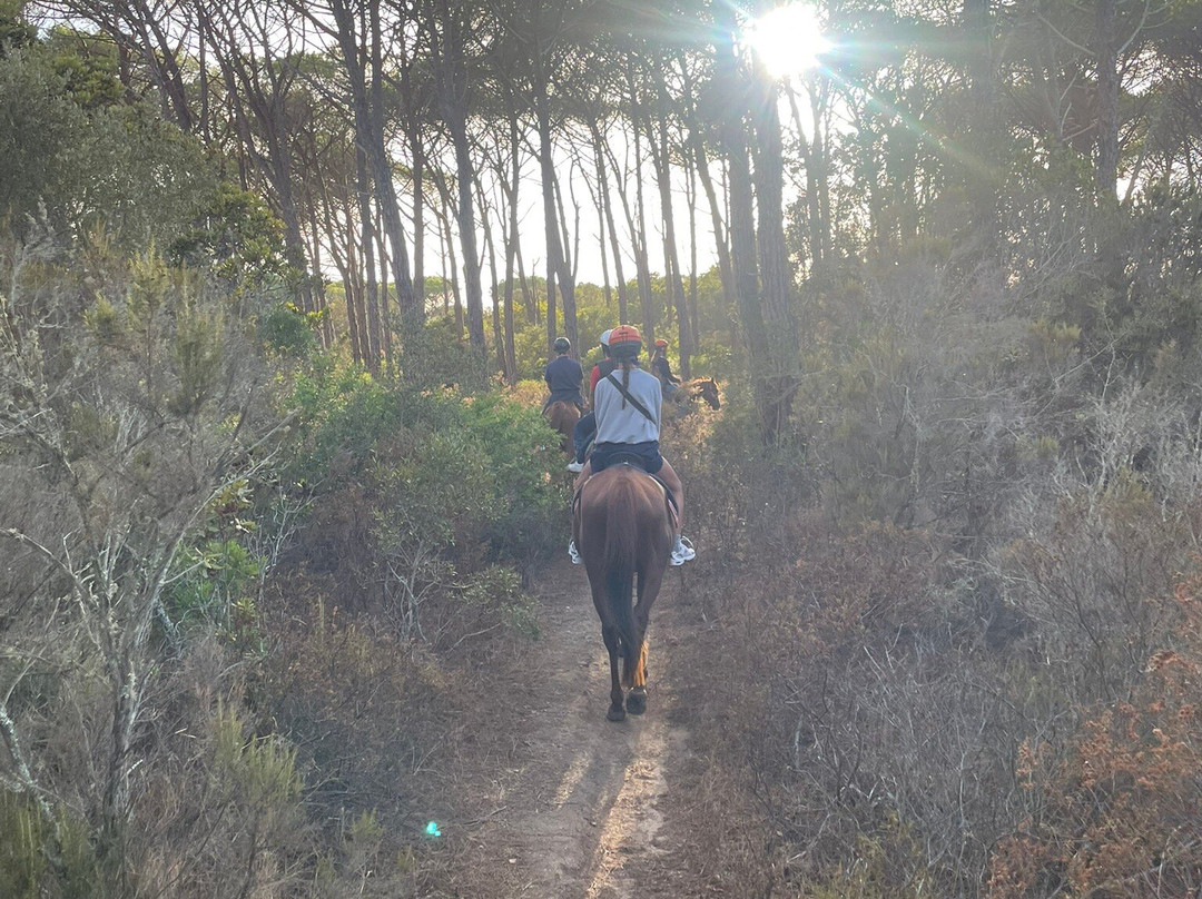 Centro Equituristico Cavalla Marsala-Caprera必去景点