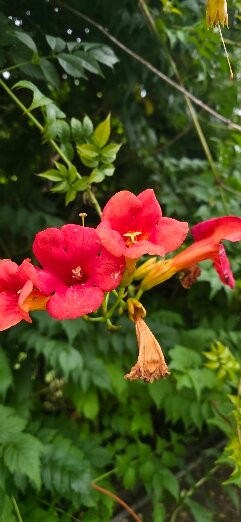 Alaije-Brantome en Perigord City必去景点
