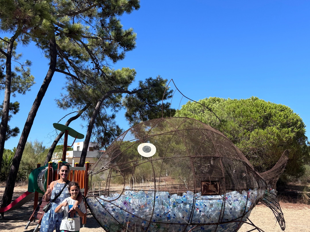 Tavira Island-塔维拉必去景点