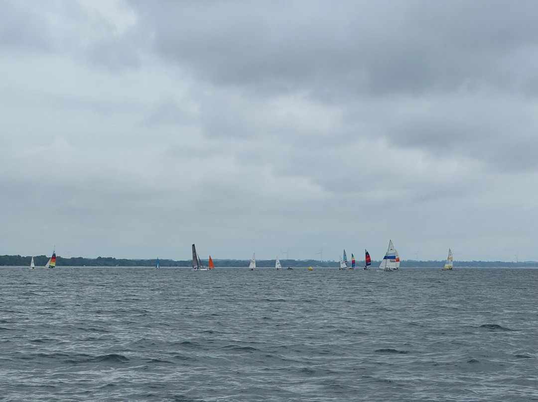 Rondeau Provincial Park-Morpeth必去景点