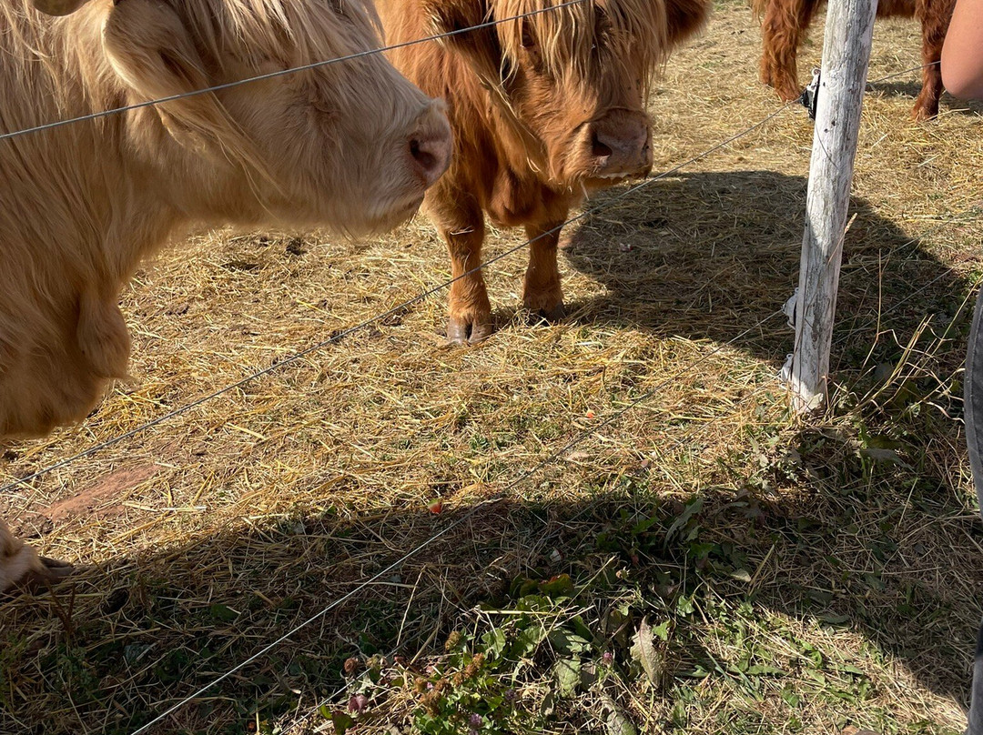 Island Hill Farm Inc-Hampshire必去景点