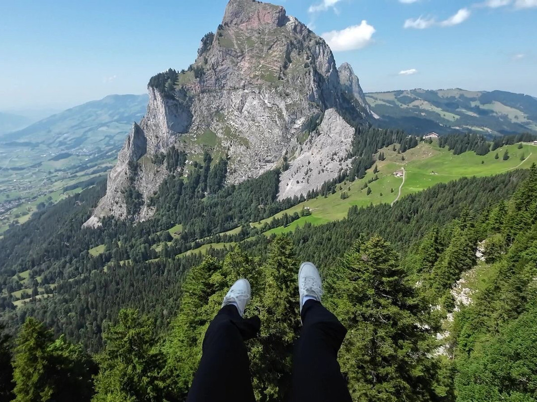 DragonView.ch Paragliding Adventure-苏黎世必去景点