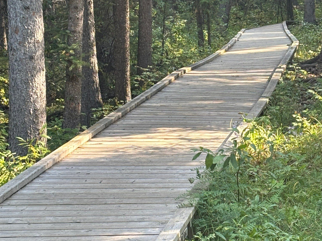 河狸木板路-兴顿必去景点