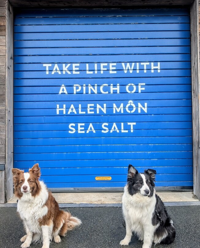 Anglesey Sea Salt Company - Halen Mon-Brynsiencyn必去景点