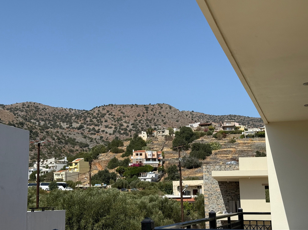 Olive Grove Apartments主图