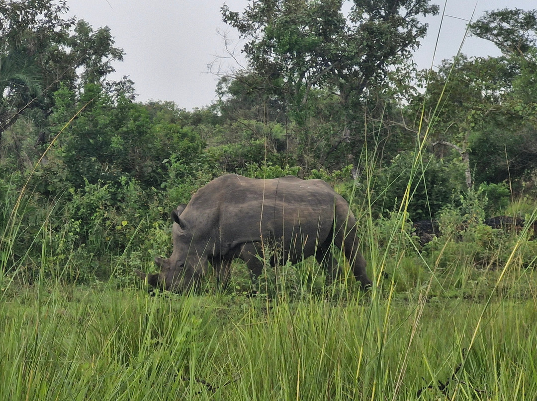 Ngoni Safaris Uganda-坎帕拉必去景点