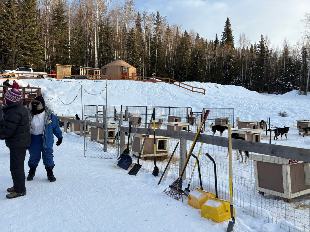 Arctic Paws Dog Sled Tours-Skytop必去景点