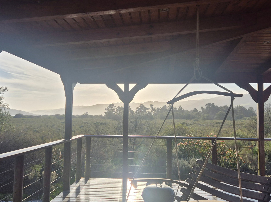 Reflections Eco Reserve主图