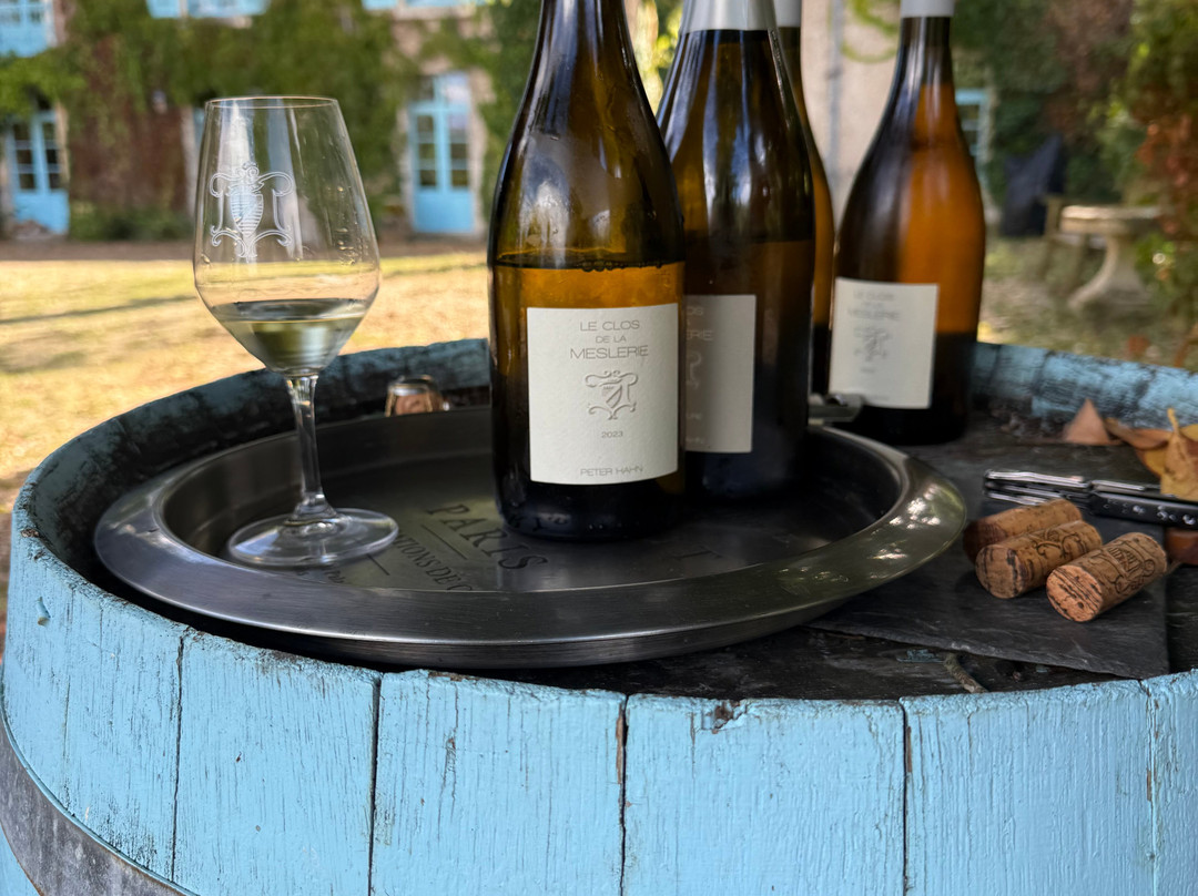 Le Tasting Room Wine - Day Tours-Noizay必去景点