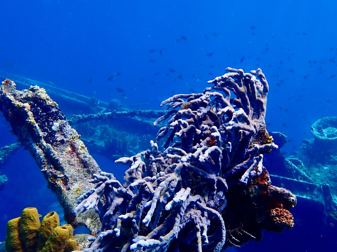 Seabob Aruba-Noord必去景点