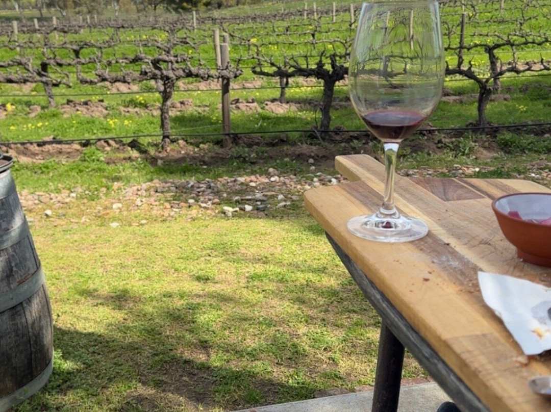 David Franz Wines-塔努达必去景点