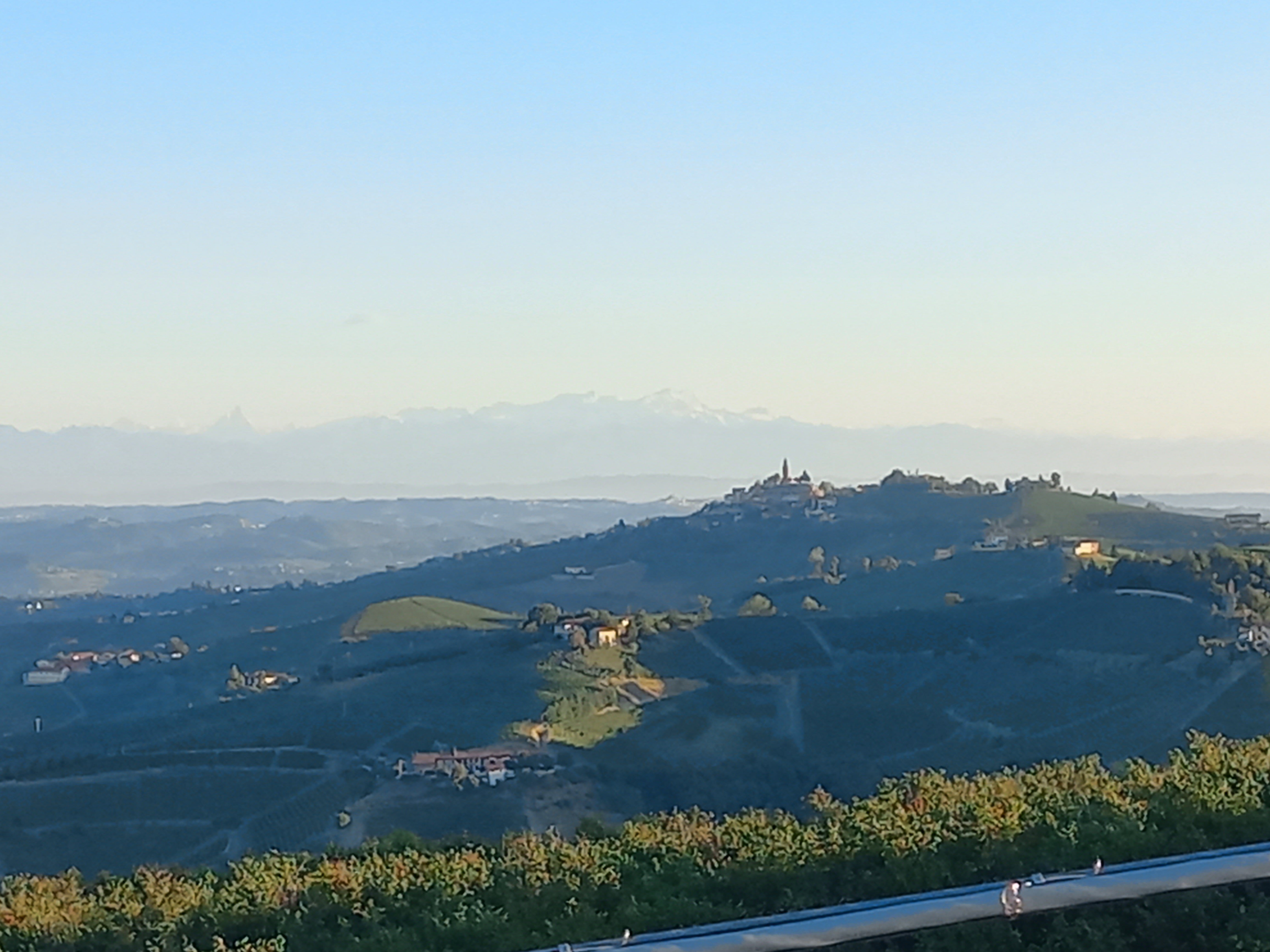 La Buonora-官方