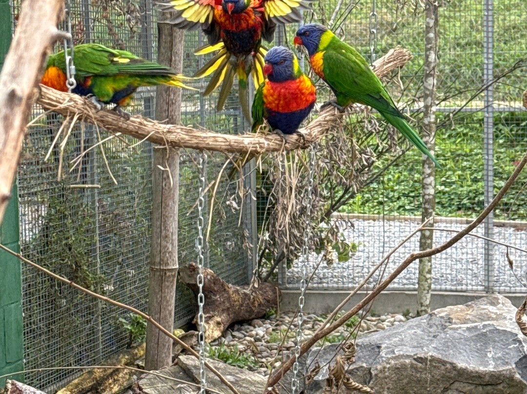 Vogelpark Ambigua-Zeihen必去景点