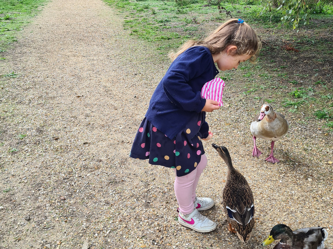 Pensthorpe-Fakenham必去景点