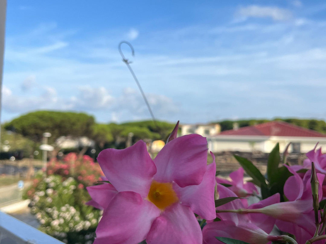 Hotel Poseidonia Mare主图