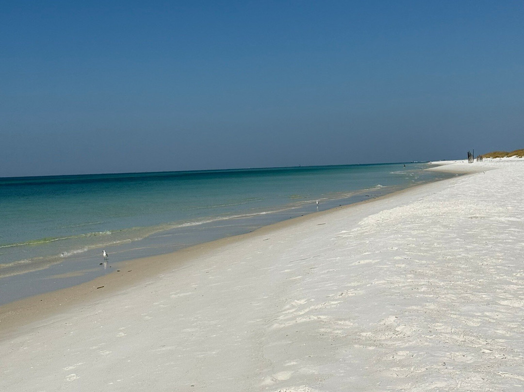 Shell Island-巴拿马城海滩必去景点