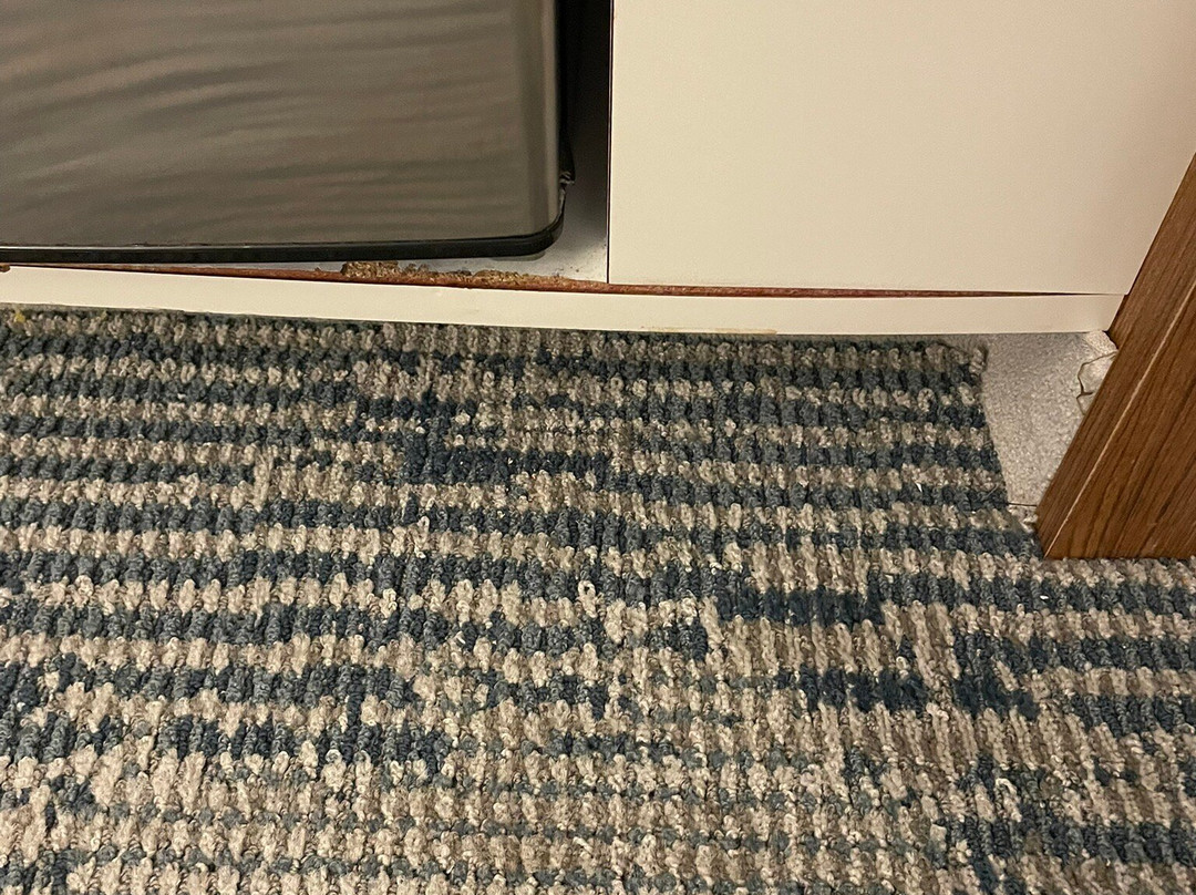 布法罗机场SpringHill Suites酒店主图
