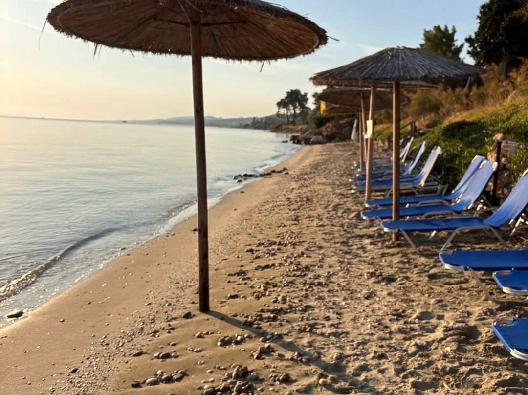 Avatel Eco Lodge主图