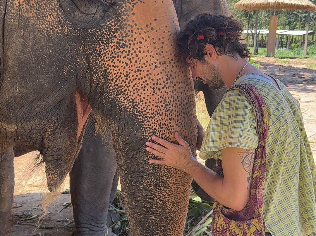 Maerim Elephant Sanctuary-夜林必去景点