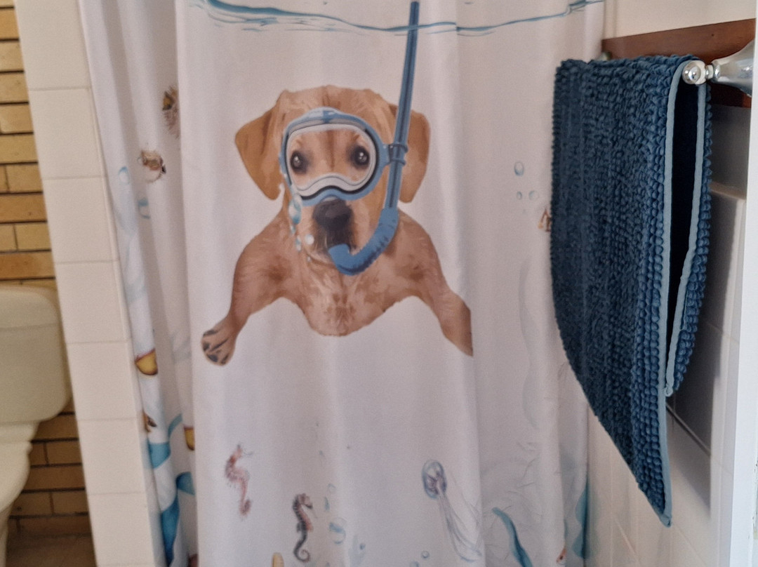 Motel Glenworth主图